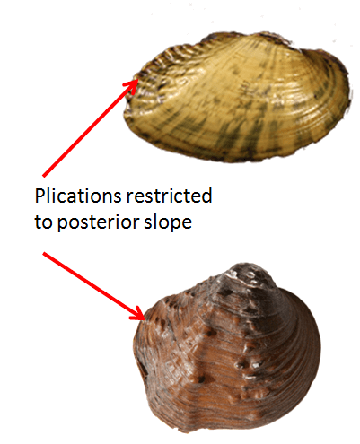 PlicationsRestricted.png